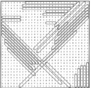 Cells Word Search Answers - Science Classroom Teacher Resources