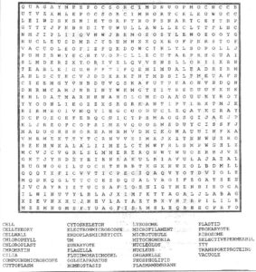 Cells Word Search Puzzle - Science Classroom Teacher Resources
