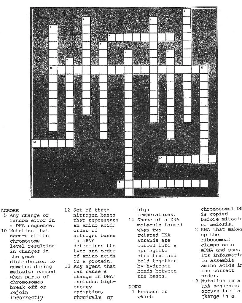 DNA crossword